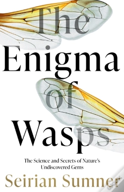 Capa do artigo Endless Forms