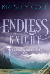 Capa do artigo Endless Knight