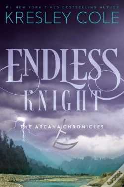 Capa do artigo Endless Knight