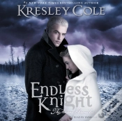 Capa do artigo Endless Knight