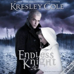 Capa do artigo Endless Knight