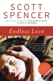 Capa do artigo Endless Love