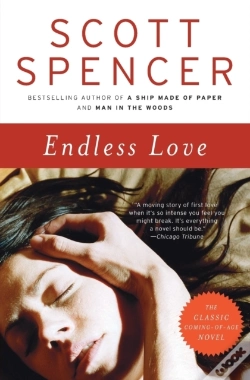 Capa do artigo Endless Love