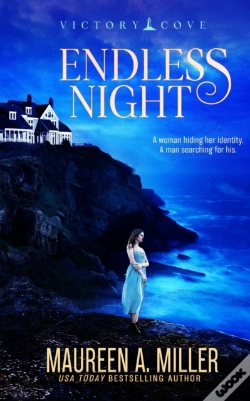 Capa do artigo Endless Night