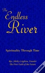 Capa do artigo Endless River