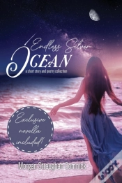 Capa do artigo Endless Silver Ocean