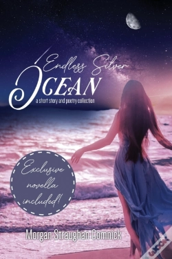Capa do artigo Endless Silver Ocean