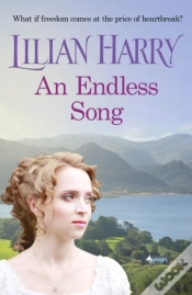 Capa do artigo Endless Song