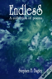 Capa do artigo Endless