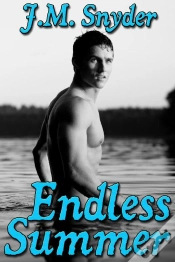 Capa do artigo Endless Summer