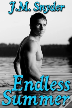 Capa do artigo Endless Summer