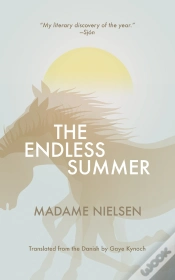 Capa do artigo Endless Summer