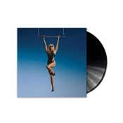 Capa do artigo Endless Summer Vacation - Vinil