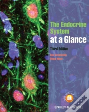 Capa do artigo Endocrine System At A Glance