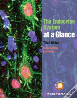 Capa do artigo Endocrine System At A Glance