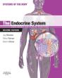 Endocrine System - Preview