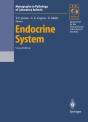 Endocrine System - Preview