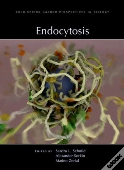 Capa do artigo Endocytosis