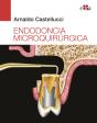 Endodoncia Microquirúrgica - Preview