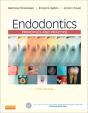 Endodontics - E-Book - Preview