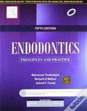 Capa do artigo Endodontics