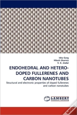 Capa do artigo Endohedral And Hetero-Doped Fullerenes And Carbon Nanotubes
