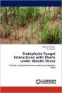Endophytic Fungal Interactions With Plants Under Abiotic Stress - Preview