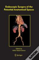 Endoscopic Surgery Of The Potential Anatomical Spaces
