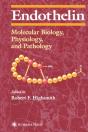 Endothelin - Preview