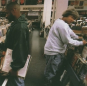 Capa do artigo Endtroducing..... - Vinil