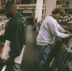 Capa do artigo Endtroducing..... - Vinil