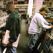 Capa do artigo Endtroducing..... - Vinil