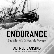 Capa do artigo Endurance