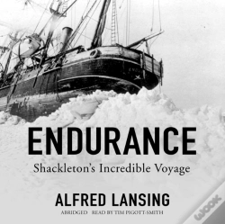 Capa do artigo Endurance