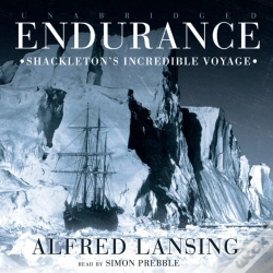 Capa do artigo Endurance