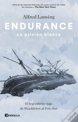 Capa do artigo Endurance