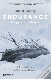 Capa do artigo Endurance