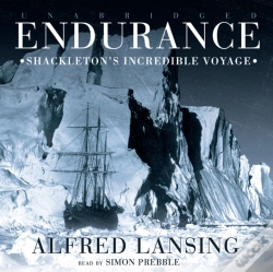 Capa do artigo Endurance