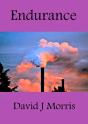 Endurance - Preview