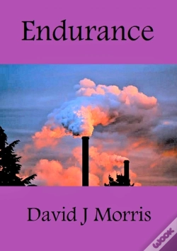 Capa do artigo Endurance