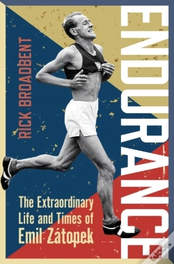 Capa do artigo Endurance