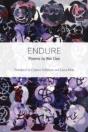 Endure - Preview