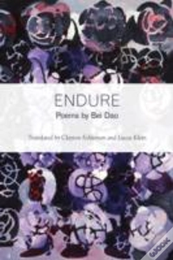Capa do artigo Endure