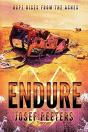 Endure: Hope Rises From The Ashes. - Preview