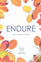 Capa do artigo Endure