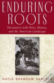 Capa do artigo Enduring Roots