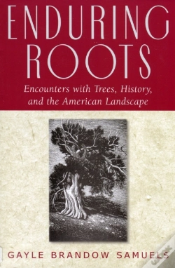 Capa do artigo Enduring Roots