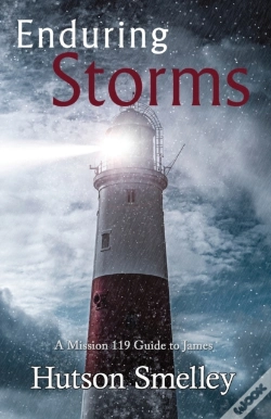 Capa do artigo Enduring Storms