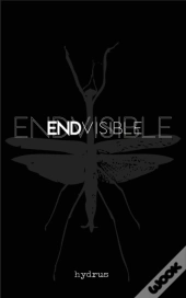 Endvisible
