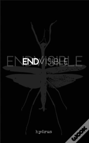 Capa do artigo Endvisible